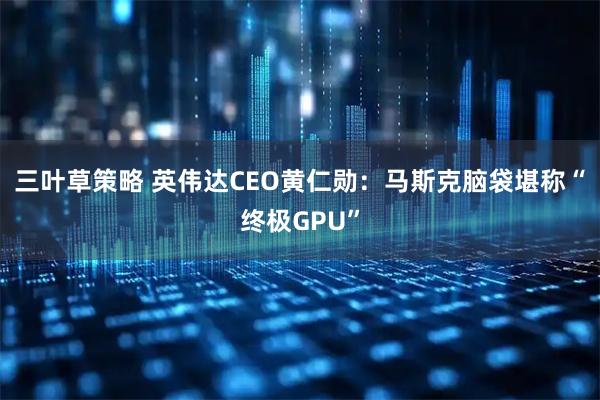 三叶草策略 英伟达CEO黄仁勋：马斯克脑袋堪称“终极GPU”