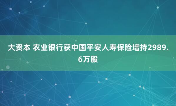 大资本 农业银行获中国平安人寿保险增持2989.6万股