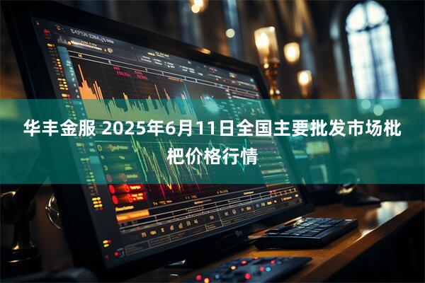 华丰金服 2025年6月11日全国主要批发市场枇杷价格行情